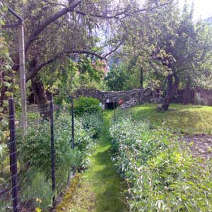 kosmac in ex kompost