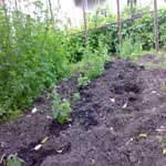 kosmac in ex kompost