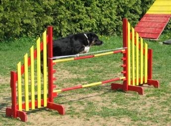 Tax.jpg (36417 bytes)