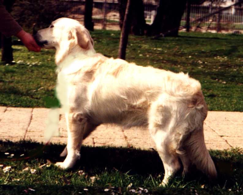 aska2.jpg (77680 bytes)