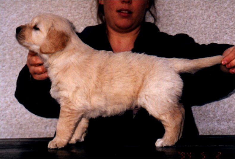 boy1.jpg (71499 bytes)