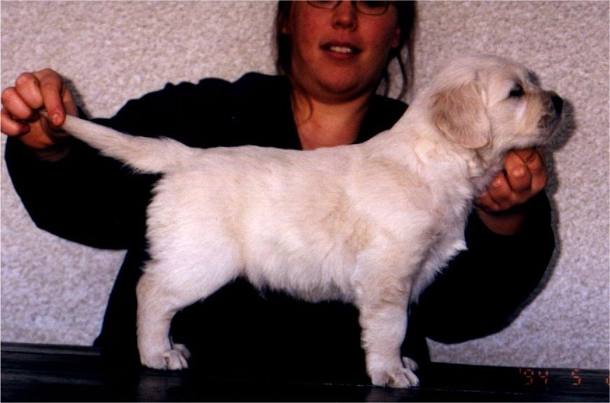 boy3.jpg (68732 bytes)