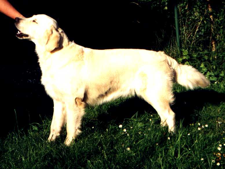 fina_1701.jpg (45928 bytes)