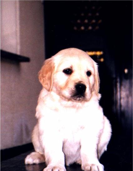 girl2.jpg (41550 bytes)