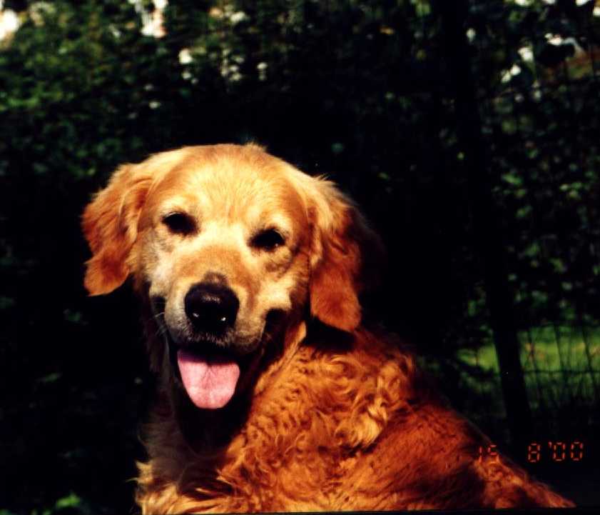 jon00.jpg (43459 bytes)