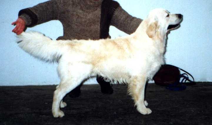 pako.jpg (25235 bytes)