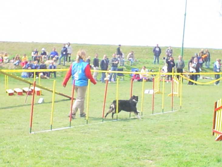 ptuj.jpg (33880 bytes)