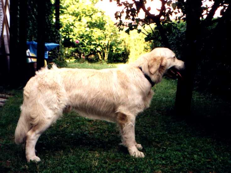 pushkin_1701.jpg (48979 bytes)