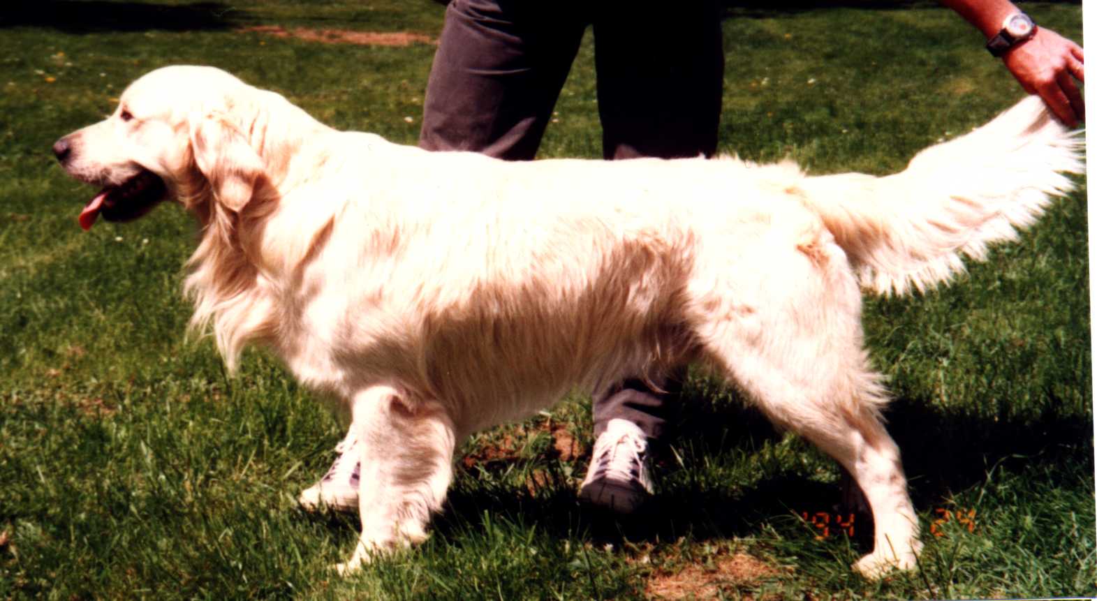 sparki01.jpg (121768 bytes)