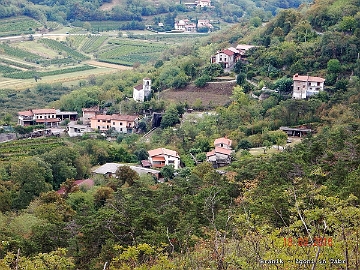 tabr-zgoni
