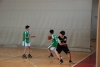Kosarka_podrocno_074