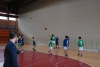 Kosarka_podrocno_083