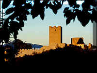 grad.jpg (10099 bytes)