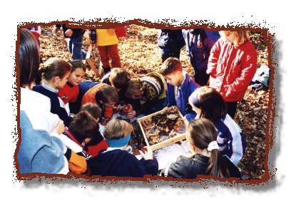 Le kaj bo ostalo na situ?