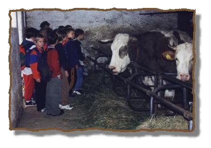 "Obiskali smo kmetijo."