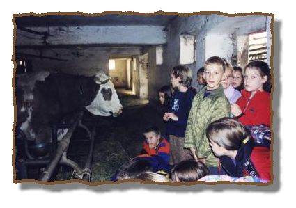 "Tudi vonj nas ni motil - v mislih smo imeli samo sladko mleko!"