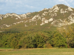 pogled od spodaj - teden dni po pohodu