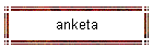 anketa