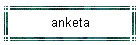 anketa