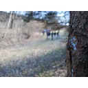 Prikaži Kako radi bi odšli iz te jame! sliko