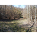 Prikaži Mogoče je bil takrat prav tako lep dan? sliko