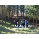 Prikaži Razmislek ... sliko