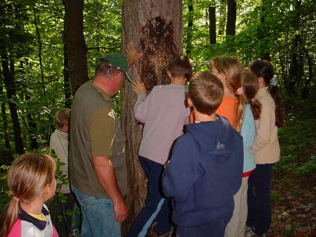 TABOR962.JPG (142223 bytes)