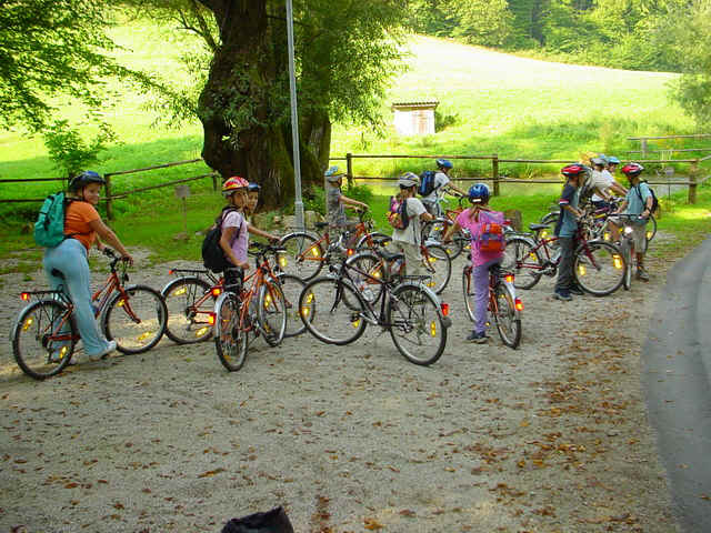 TABOR964.JPG (177948 bytes)