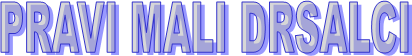 PRAVI MALI DRSALCI