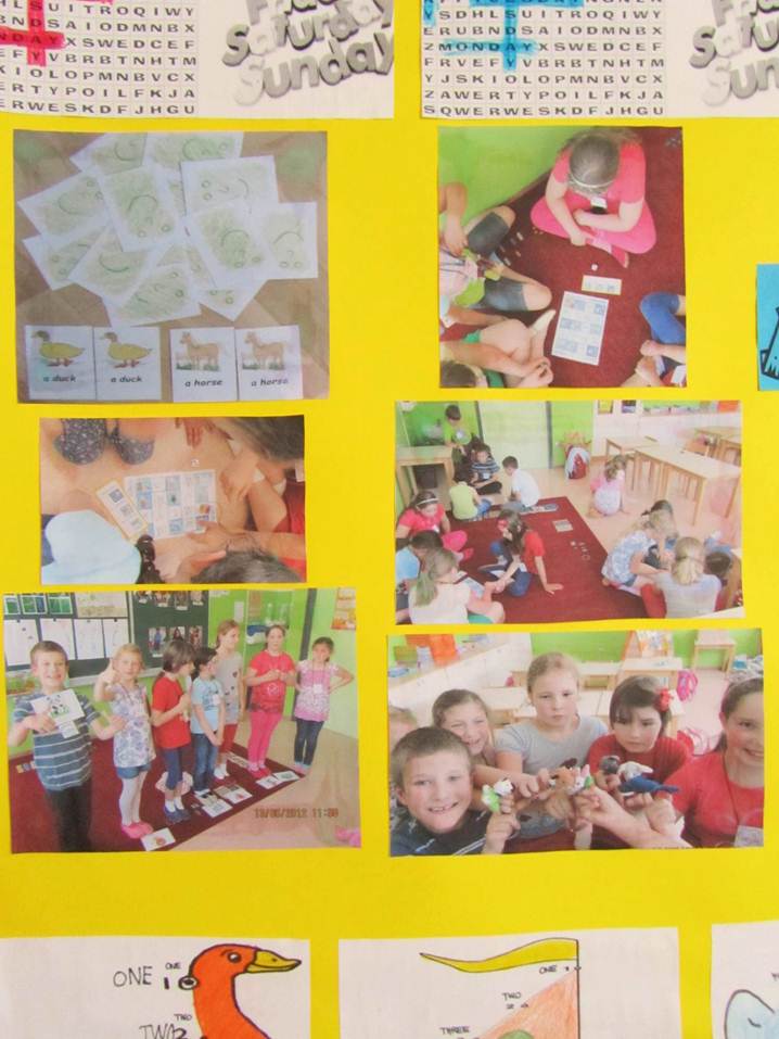 Description: C:\Users\Rok Cehner\Desktop\New folder (2)\IMG_1031.JPG