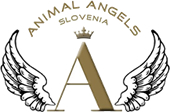 Opis: http://www.animalangels.eu/phpthumb/phpThumb.php?src=/usr/home/admins/websites/animalangels/animalangels.eu/public_html/graphics/animalangels.jpg
