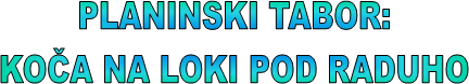 PLANINSKI TABOR:
KO�A NA LOKI POD RADUHO