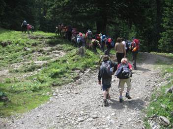 Opis: D:\Users\POUK1\Documents\FOTOGRAFIJE_1011\PLANINSKI POHODI 20102011\Planinski tabor Loka, 1.-3.7.11\loka 2011 633.JPG