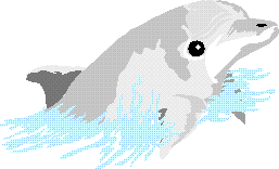 dolphin