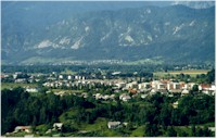 novarm.jpg (11695 bytes)