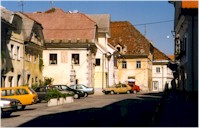 radtrgm.jpg (12595 bytes)