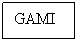 Text Box: GAMI
