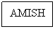 Text Box: AMISH
