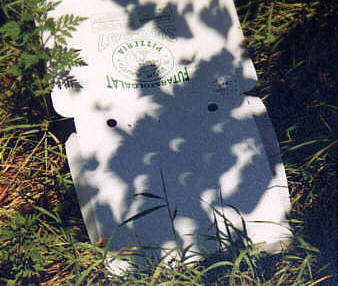 Sence pod drevesom. Opazni so majhni srpi namesto obiajnih krogov.