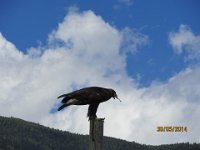 IMG 2536
