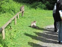 IMG 2564