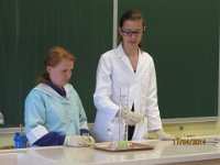 IMG 2343