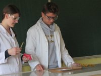 IMG 2381