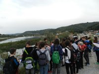 DSCN5440