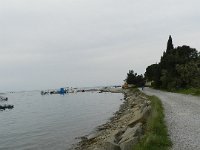 DSCN5449