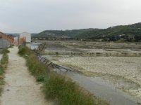 DSCN5470