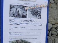 DSCN5503