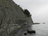 DSCN5525