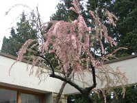 DSCN5537