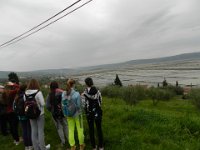 DSCN5553
